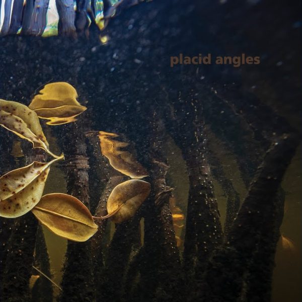 Placid Angles – Our Love Is The Place [2021]
