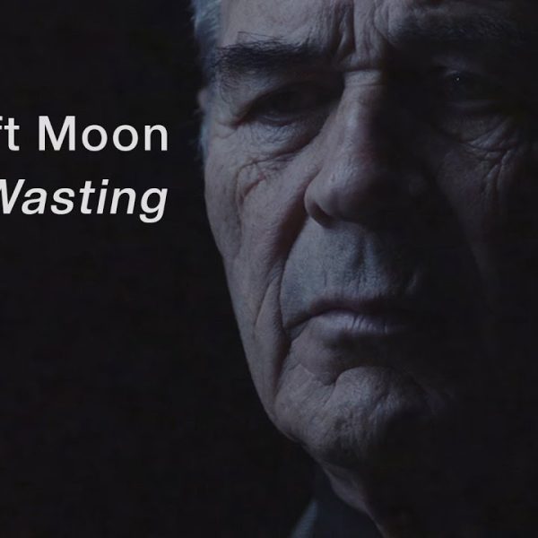 The Soft Moon – Wasting [2015]