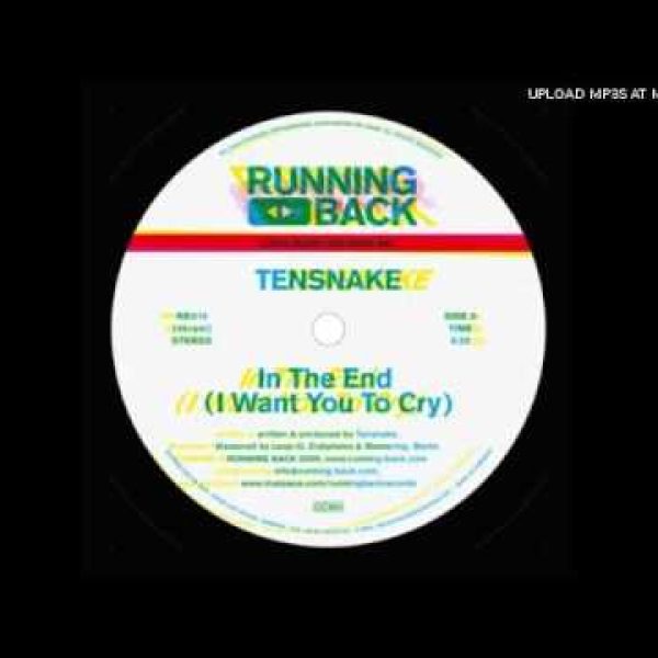 Tensnake – In the End (I Want You to Cry) [2009]