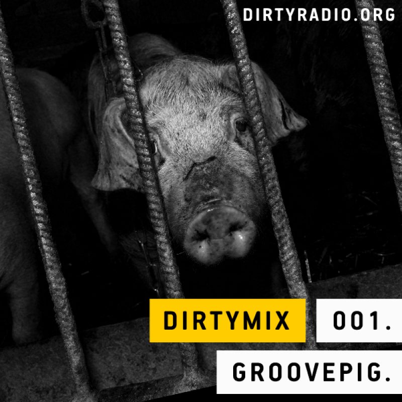 dirtymix-podcast-001-groovepig